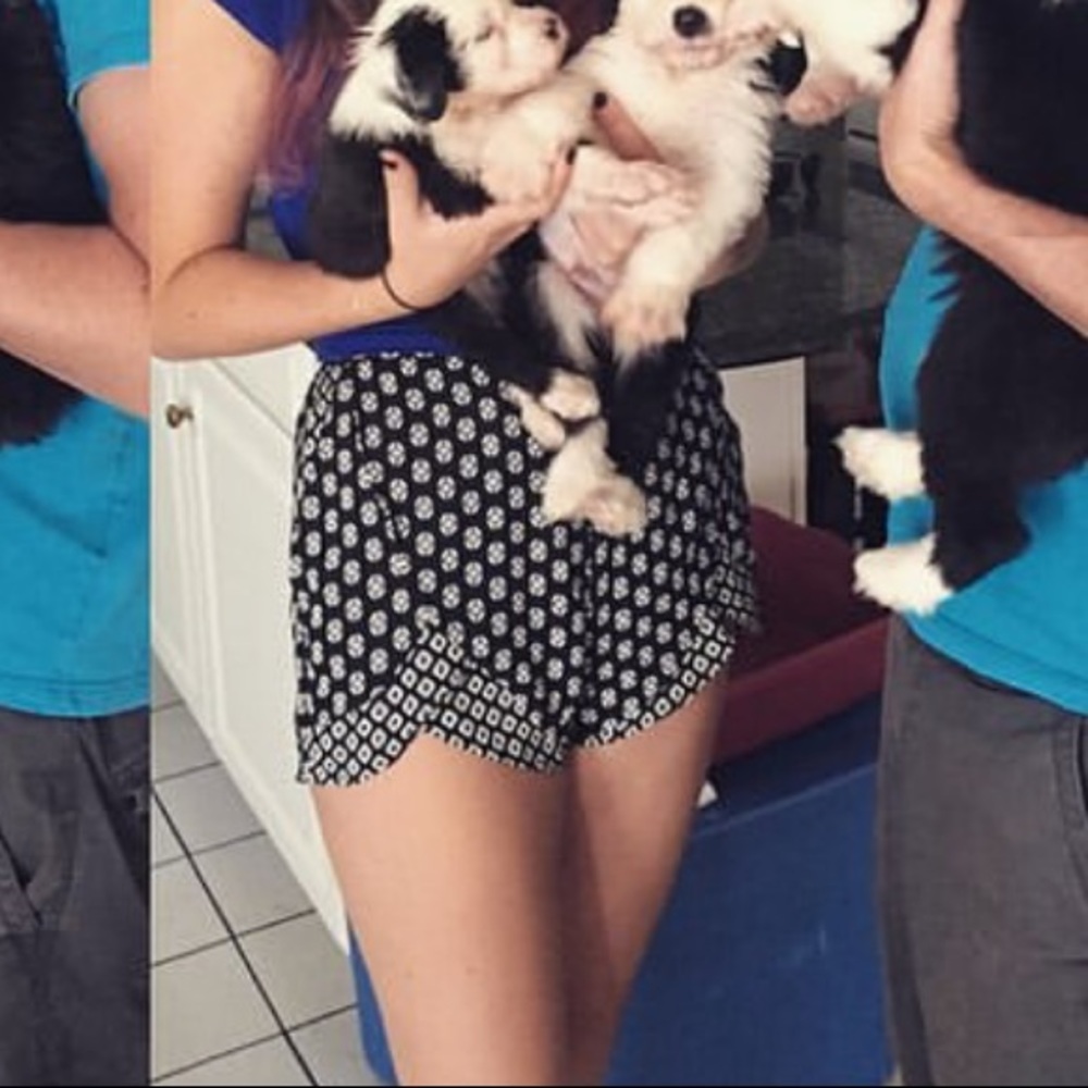 Patterned Soft Shorts - Picture 7 of 7